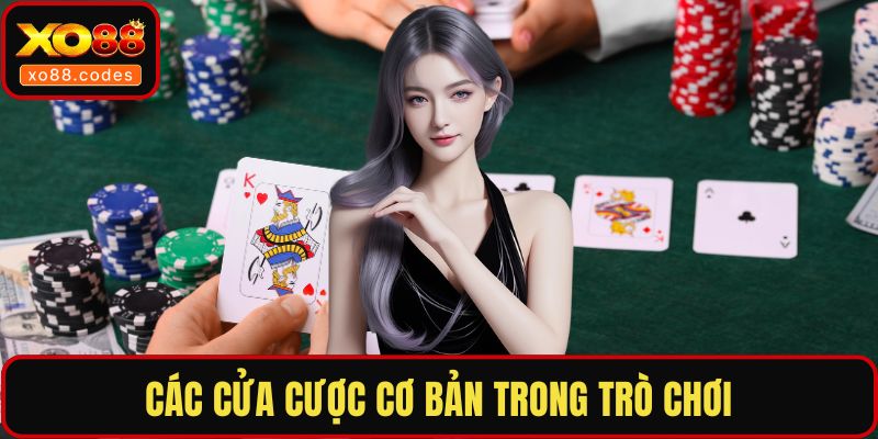 Các cửa cược cơ bản trong trò chơi