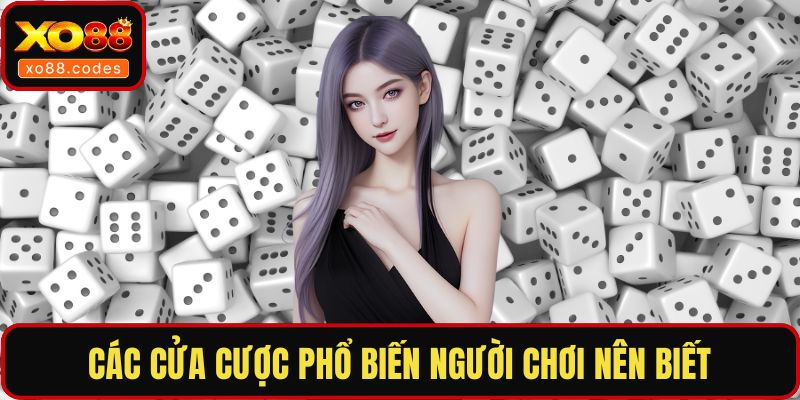 Các cửa cược phổ biến người chơi nên biết
