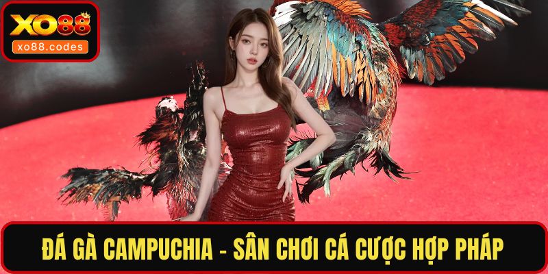 Đá gà Campuchia