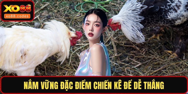 Nắm vững đặc điểm chiến kê để dễ thắng